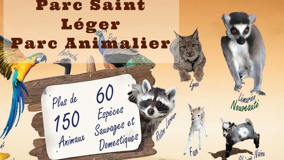 Animaux - Parc Saint Léger - Parc Animalier