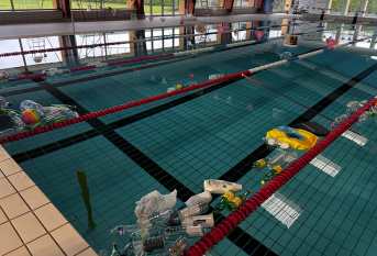 Piscine pollué